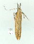  ( - gvc8998-1L)  @12 [ ] Copyright (2004) Unspecified Unspecified