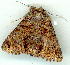  ( - gvc9033-1L)  @13 [ ] Copyright (2004) Unspecified Unspecified