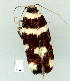  ( - gvc9042-1L)  @12 [ ] Copyright (2004) Unspecified Unspecified