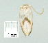 ( - gvc9048-1L)  @12 [ ] Copyright (2004) Unspecified Unspecified