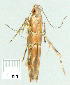  ( - gvc9062-1L)  @12 [ ] Copyright (2004) Unspecified Unspecified