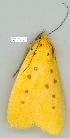  ( - gvc9070-1L)  @12 [ ] Copyright (2004) Unspecified Unspecified