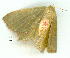  ( - gvc9072-1L)  @12 [ ] Copyright (2004) Unspecified Unspecified