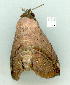  ( - gvc9080-1L)  @13 [ ] Copyright (2004) Unspecified Unspecified