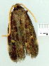  ( - gvc9099-1L)  @12 [ ] Copyright (2004) Unspecified Unspecified