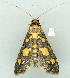  ( - gvc9105-1L)  @13 [ ] Copyright (2004) Unspecified Unspecified