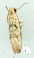  ( - gvc9115-1L)  @12 [ ] Copyright (2004) Unspecified Unspecified