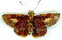  ( - gvc9127-1L)  @13 [ ] Copyright (2004) Unspecified Unspecified