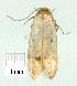  ( - gvc9128-1L)  @12 [ ] Copyright (2004) Unspecified Unspecified