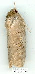  ( - gvc9137-1L)  @12 [ ] Copyright (2004) Unspecified Unspecified