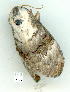  ( - gvc9142-1L)  @13 [ ] Copyright (2004) Unspecified Unspecified