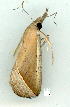  ( - gvc9147-1L)  @12 [ ] Copyright (2004) Unspecified Unspecified