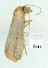  ( - gvc9203-1L)  @12 [ ] Copyright (2004) Unspecified Unspecified