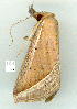  ( - gvc9445-1L)  @12 [ ] Copyright (2004) Unspecified Unspecified