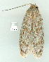  ( - gvc9474-1L)  @12 [ ] Copyright (2004) Unspecified Unspecified