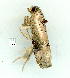  ( - gvc9572-1L)  @12 [ ] Copyright (2004) Unspecified Unspecified