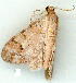  ( - gvc9650-1L)  @12 [ ] Copyright (2004) Unspecified Unspecified