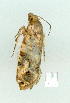  ( - gvc9773-1L)  @12 [ ] Copyright (2004) Unspecified Unspecified