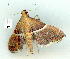  ( - gvc9818-1L)  @13 [ ] Copyright (2004) Unspecified Unspecified