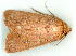  ( - gvc9840-1L)  @12 [ ] Copyright (2004) Unspecified Unspecified