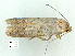 ( - gvc9848-1L)  @12 [ ] Copyright (2004) Unspecified Unspecified
