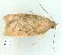  ( - gvc9857-1L)  @12 [ ] Copyright (2004) Unspecified Unspecified