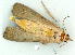  ( - gvc9894-1L)  @13 [ ] Copyright (2004) Unspecified Unspecified