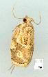  ( - gvc11161-1L)  @12 [ ] Copyright (2004) Unspecified Unspecified