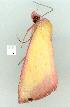  ( - gvc11304-1L)  @12 [ ] Copyright (2004) Unspecified Unspecified