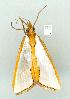  ( - gvc11306-1L)  @13 [ ] Copyright (2004) Unspecified Unspecified