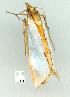 ( - gvc11307-1L)  @12 [ ] Copyright (2004) Unspecified Unspecified