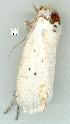  ( - gvc11326-1L)  @12 [ ] Copyright (2004) Unspecified Unspecified