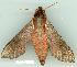  ( - gvc11402-1L)  @12 [ ] Copyright (2004) Unspecified Unspecified