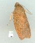  ( - gvc11495-1L)  @13 [ ] Copyright (2004) Unspecified Unspecified