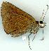  ( - gvc11549-1L)  @13 [ ] Copyright (2004) Unspecified Unspecified