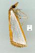  ( - gvc11602-1L)  @12 [ ] Copyright (2004) Unspecified Unspecified