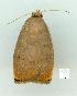  ( - gvc11664-1L)  @12 [ ] Copyright (2004) Unspecified Unspecified