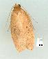  ( - gvc11670-1L)  @12 [ ] Copyright (2004) Unspecified Unspecified