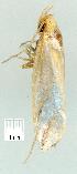  ( - gvc11672-1L)  @13 [ ] Copyright (2004) Unspecified Unspecified