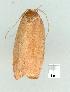 ( - gvc11675-1L)  @13 [ ] Copyright (2004) Unspecified Unspecified