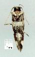  ( - gvc11679-1L)  @12 [ ] Copyright (2004) Unspecified Unspecified