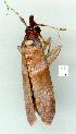  ( - gvc11684-1L)  @12 [ ] Copyright (2004) Unspecified Unspecified