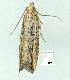  ( - gvc11718-1L)  @12 [ ] Copyright (2004) Unspecified Unspecified