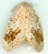  ( - gvc11759-1L)  @12 [ ] Copyright (2004) Unspecified Unspecified