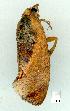  ( - gvc11813-1L)  @12 [ ] Copyright (2004) Unspecified Unspecified