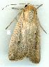  ( - gvc11846-1L)  @12 [ ] Copyright (2004) Unspecified Unspecified