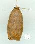  ( - gvc11847-1L)  @13 [ ] Copyright (2004) Unspecified Unspecified
