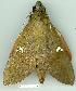  ( - gvc11874-1L)  @12 [ ] Copyright (2004) Unspecified Unspecified