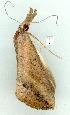  ( - gvc11948-1L)  @12 [ ] Copyright (2004) Unspecified Unspecified