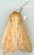  ( - gvc12237-1L)  @11 [ ] Copyright (2004) Unspecified Unspecified